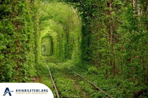 5 გვირაბი რომელიც გაგაოცებთ