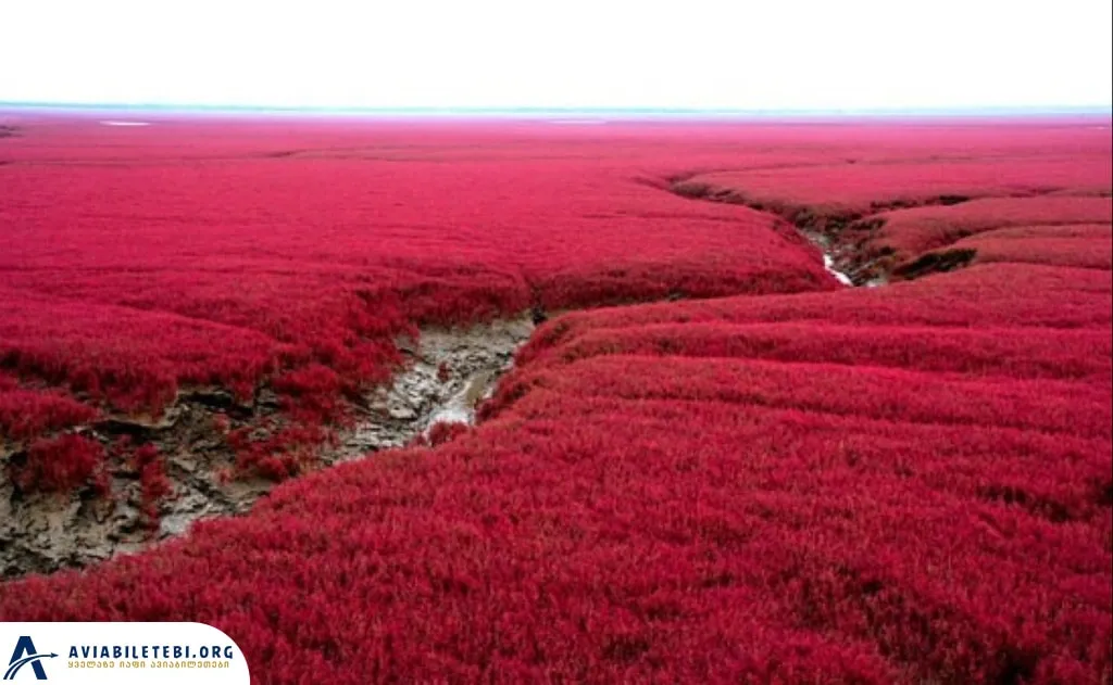 9 სურიალისტური ადგილი რომელიც უნდა ნახოთ სანამ ცოცხალი ხართ