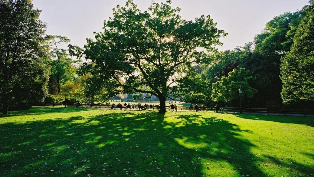 ვენის პარკი