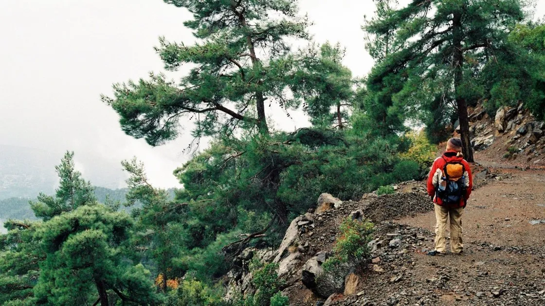 გრეკოს კონცხი