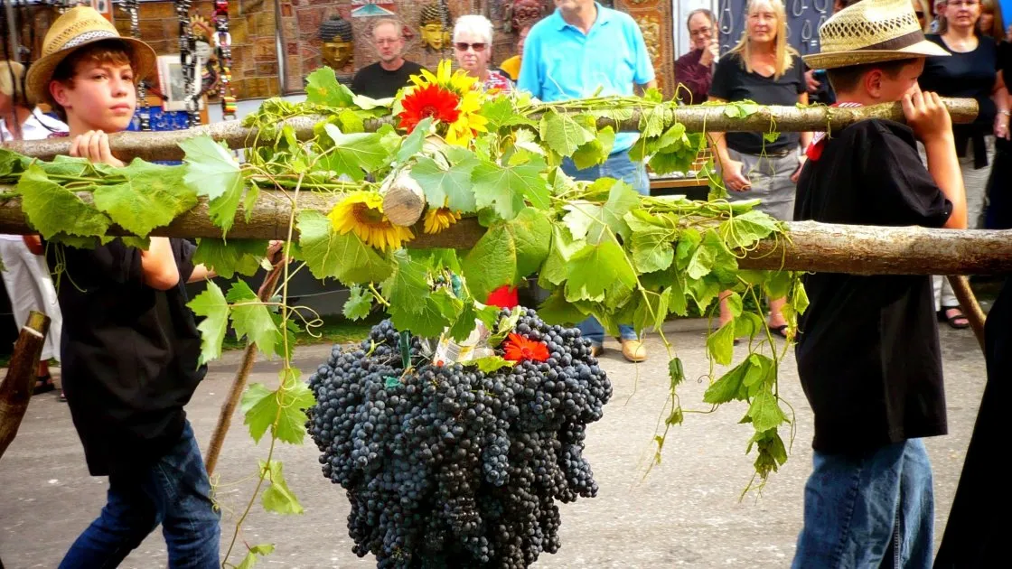 ლარნაკა რთველი