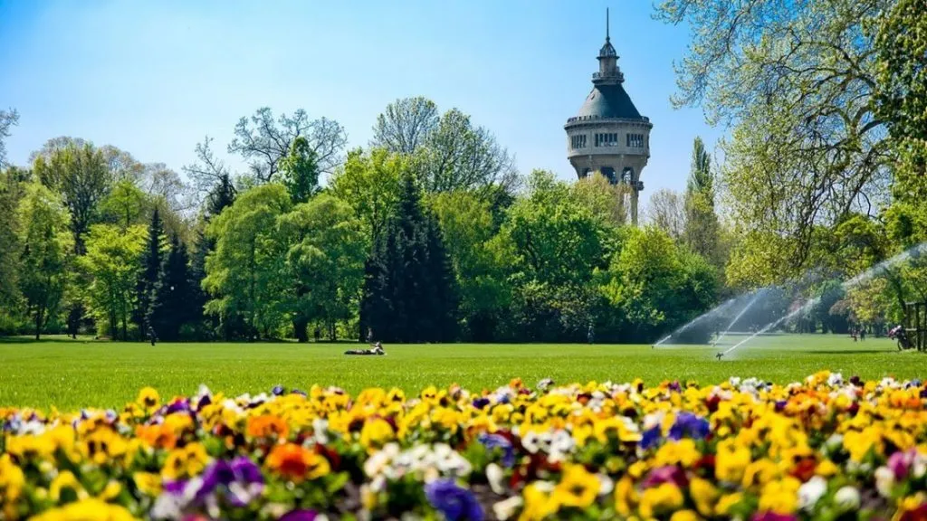 მარგარეტის კუნძული