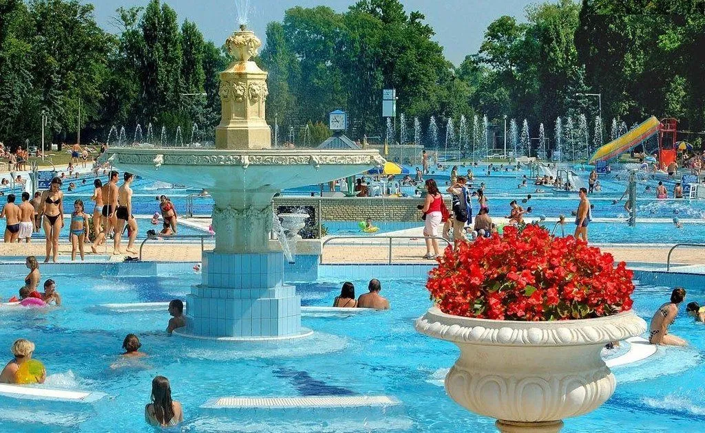 პალატინუსი