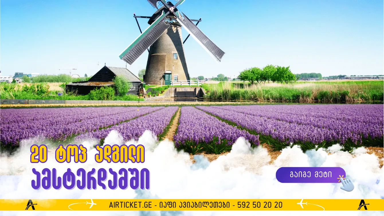 20 ადგილი, რომელთა მონახულება ღირს ამსტერდამში