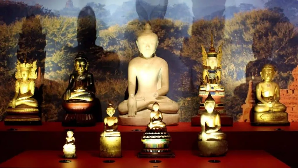 ტროპიკების მუზეუმი