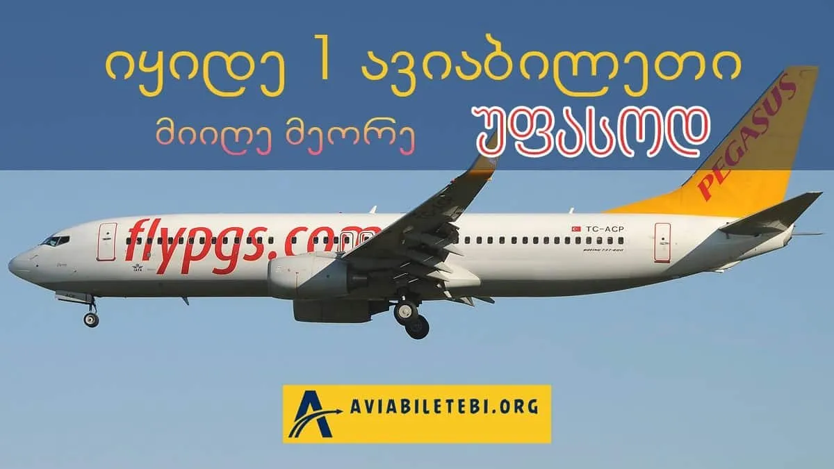 იყიდე ერთი ავიაბილეთი მიიღე მეორე უფასოდ - Pegasus Airlines