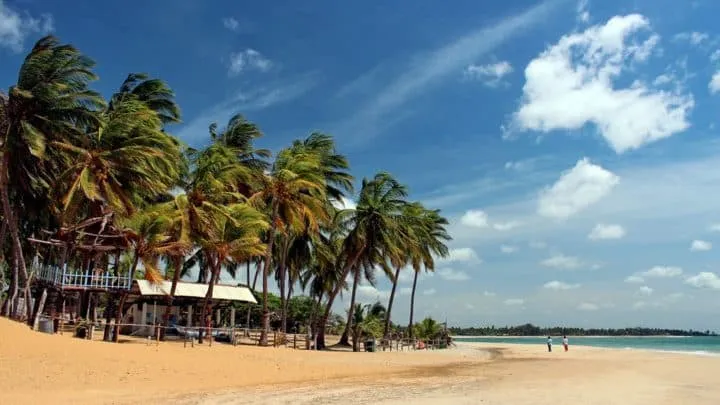 Самые популярные курорты Шри-Ланки