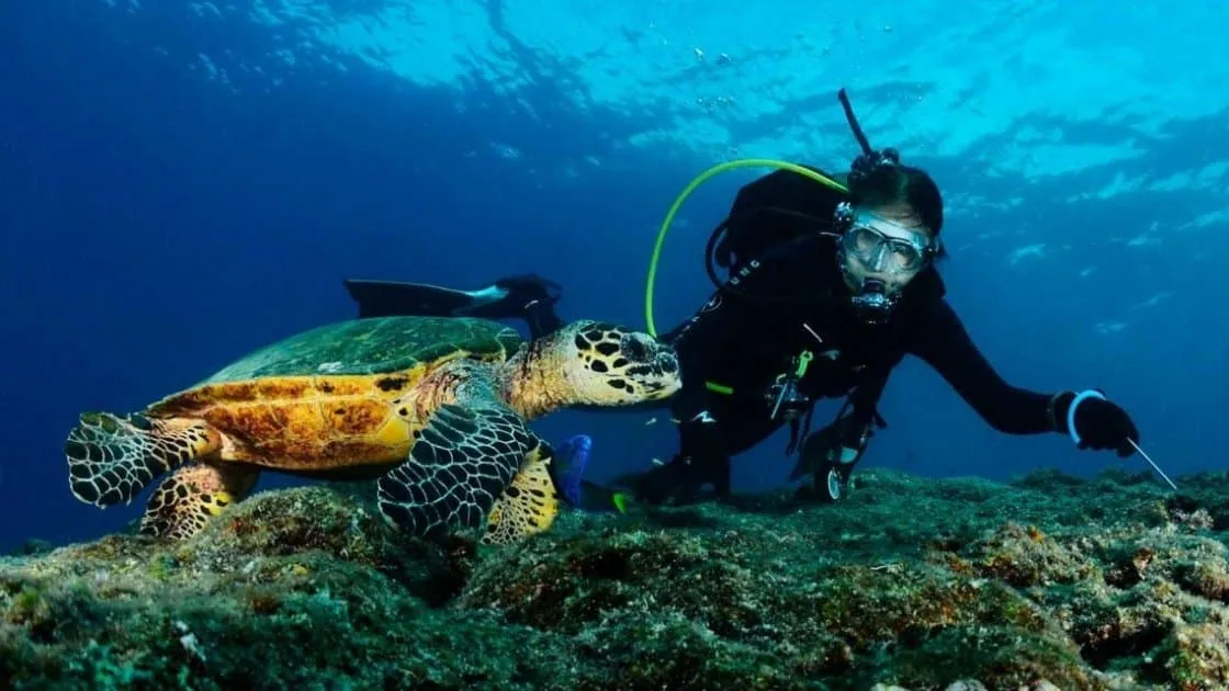 სრული ჩაყვინთვა: საუკეთესო ადგილები დაივინგისთვის