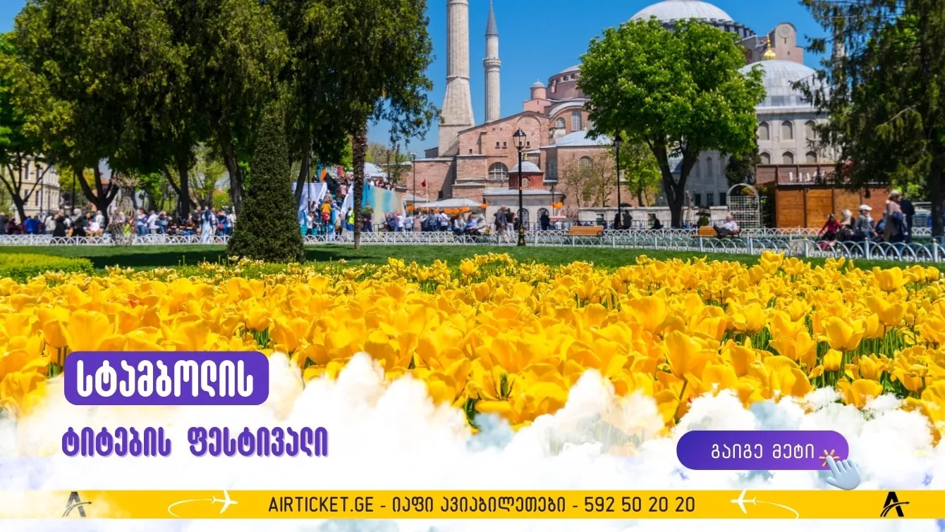 ტიტების ფესტივალი სტამბოლში