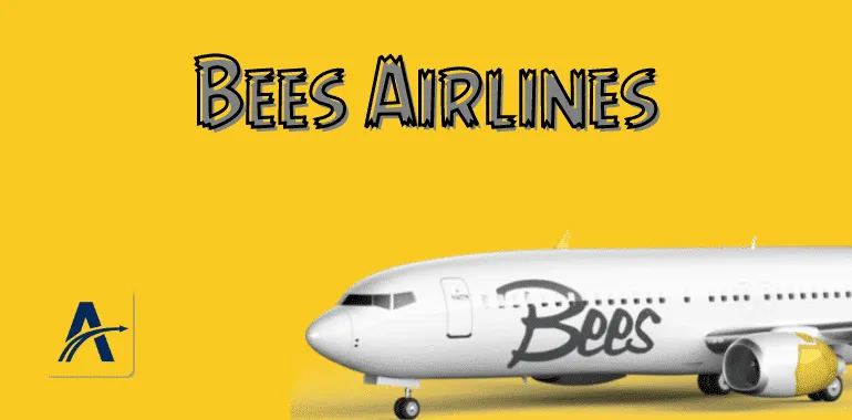 უკრაინაში ახალი დაბალბიუჯეტიანი ავიაკომპანია ამოქმედდება