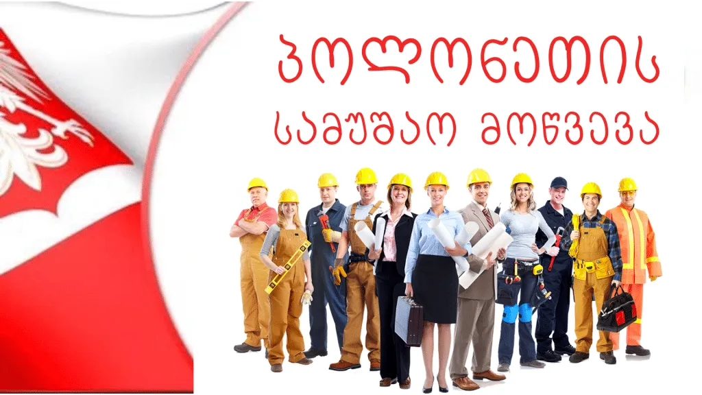 პოლონეთის სამუშაო მოწვევა