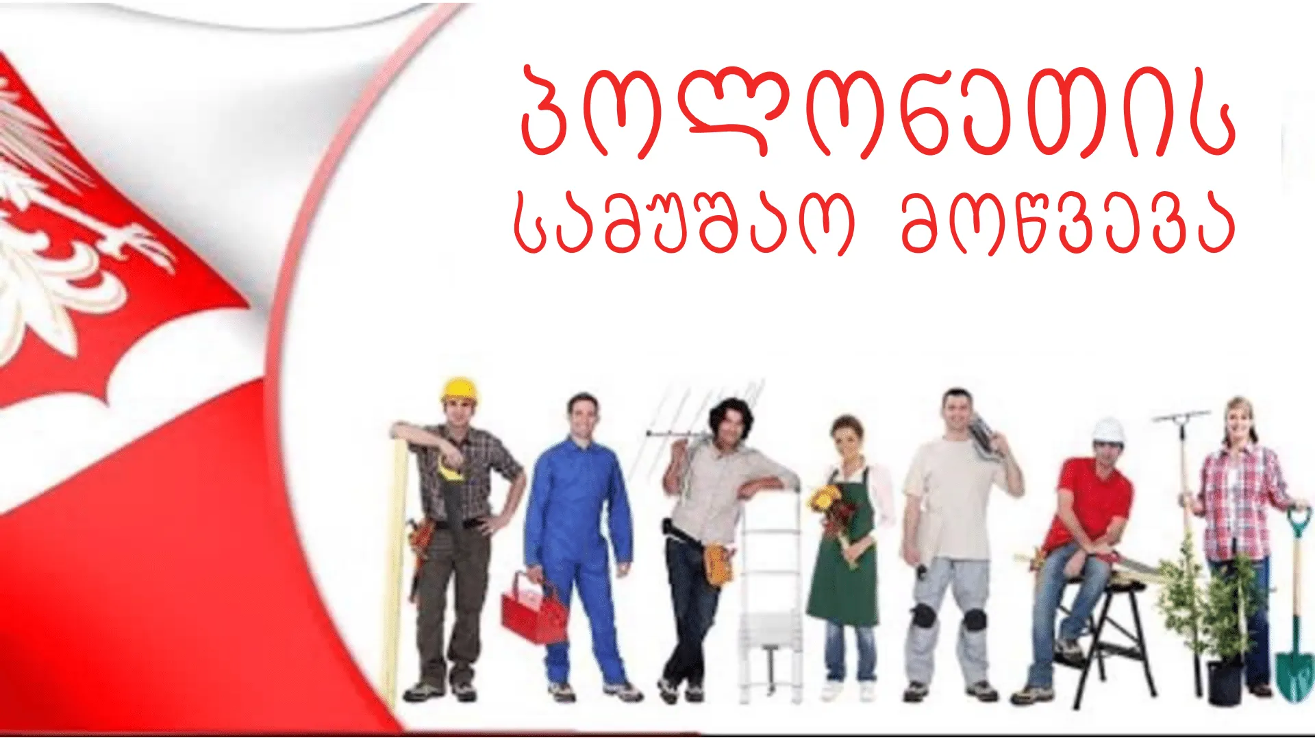 პოლონეთის სამუშაო მოწვევა - 7 დღეში 350 ლარიდან