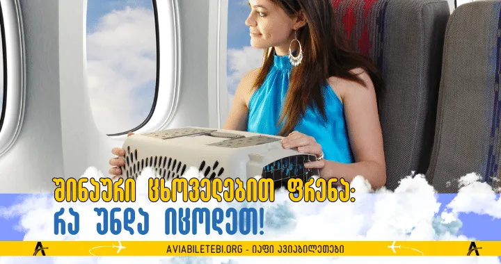 ფრენა შინაურ ცხოველებთან ერთად: რა უნდა იცოდეთ