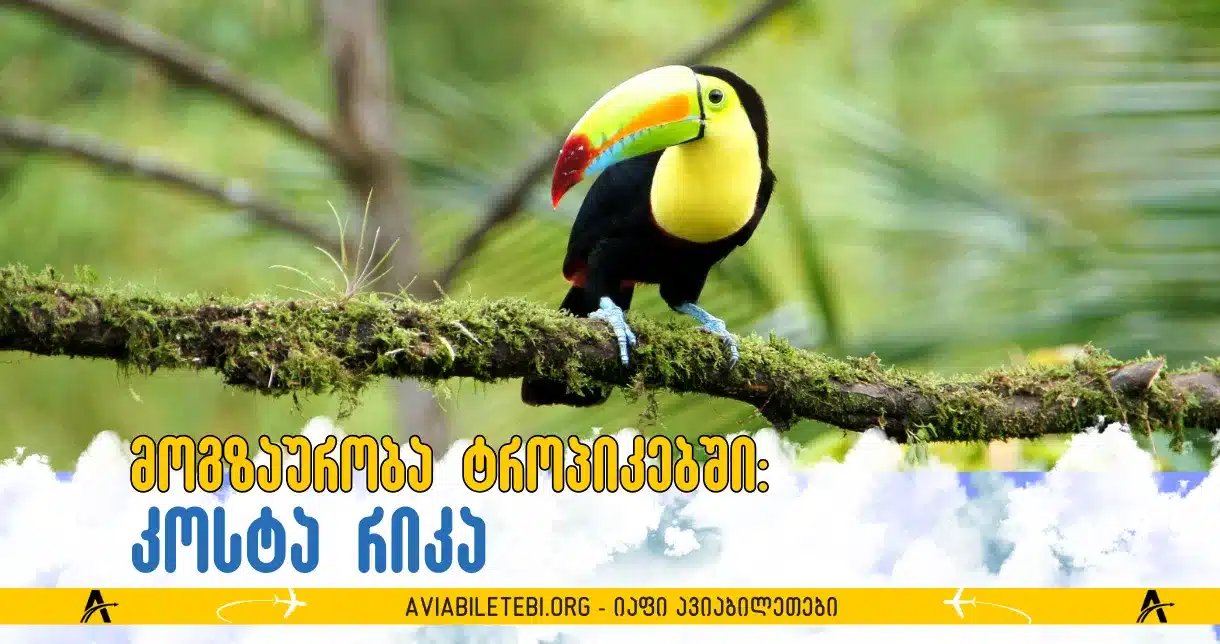 კოსტა რიკა: მოგზაურობა ტროპიკებში