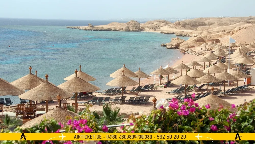 შარმი ეგვიპტე