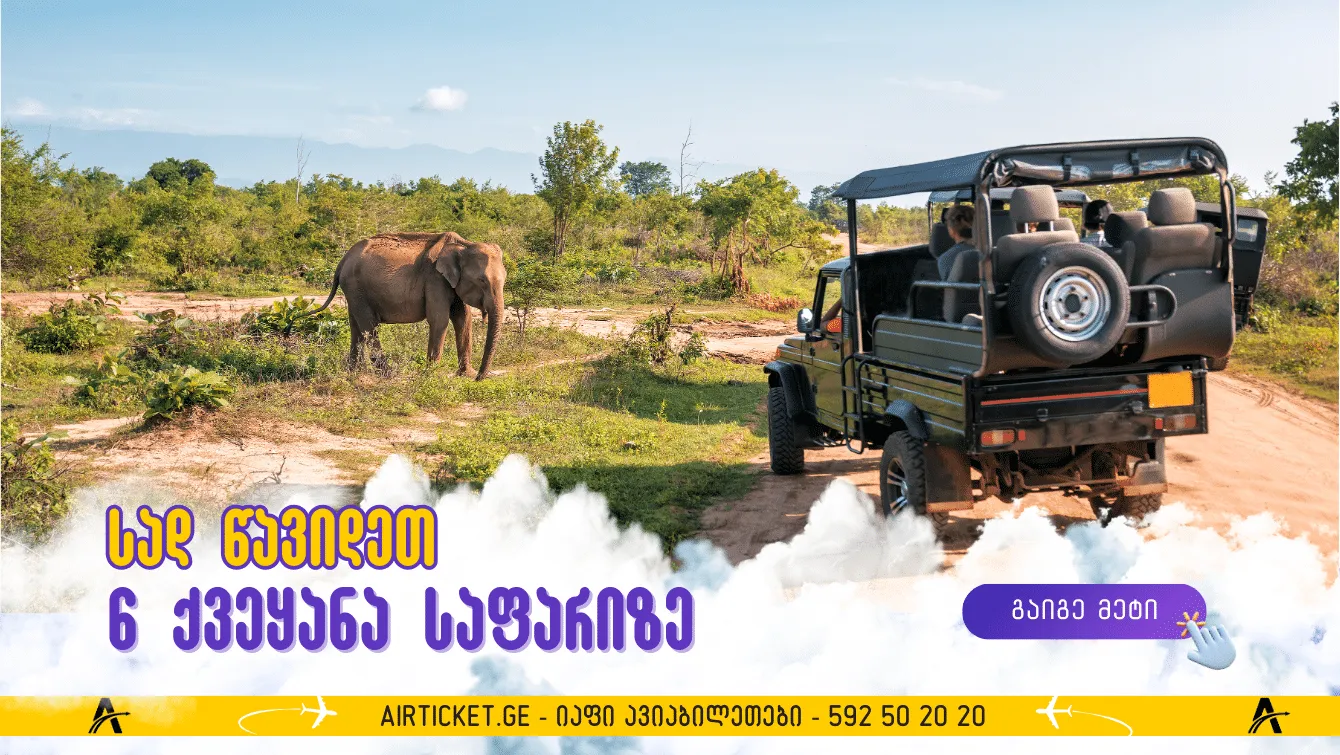 6 ქვეყანა საფარიზე - სად წავიდეთ და რა გავაკეთოთ?!