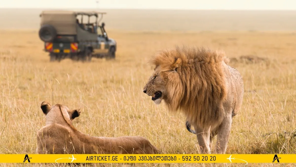 სამხრეთ აფრიკა კრუგერი