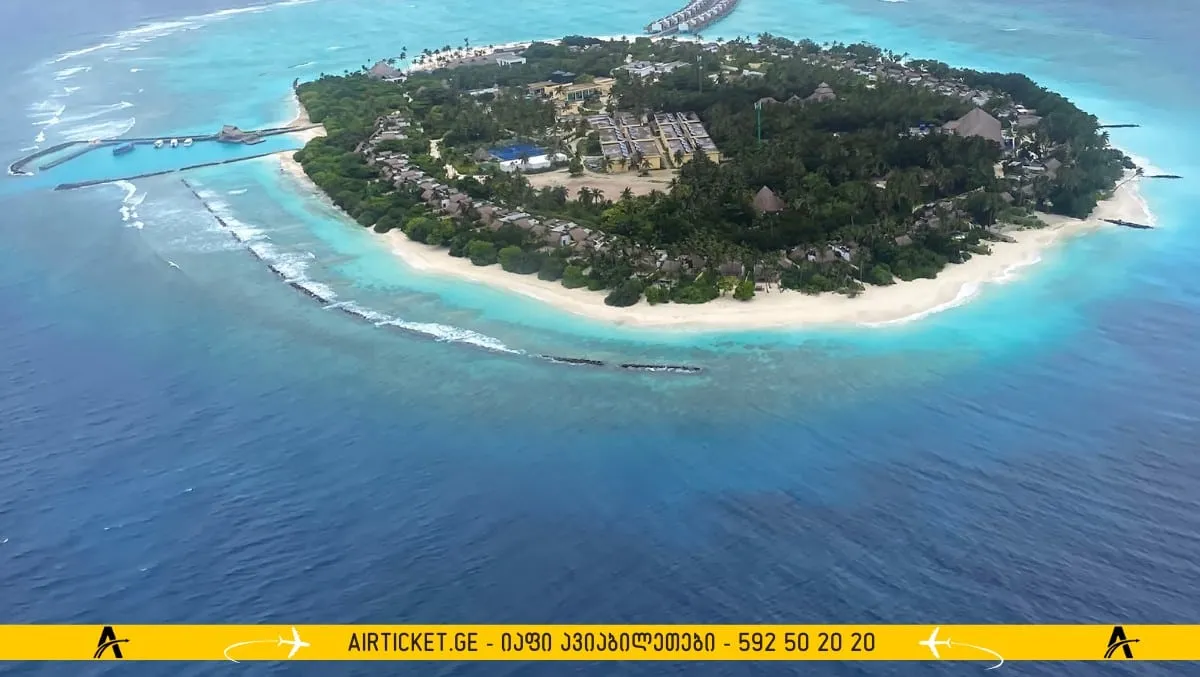 ლავიანი, მალდივები