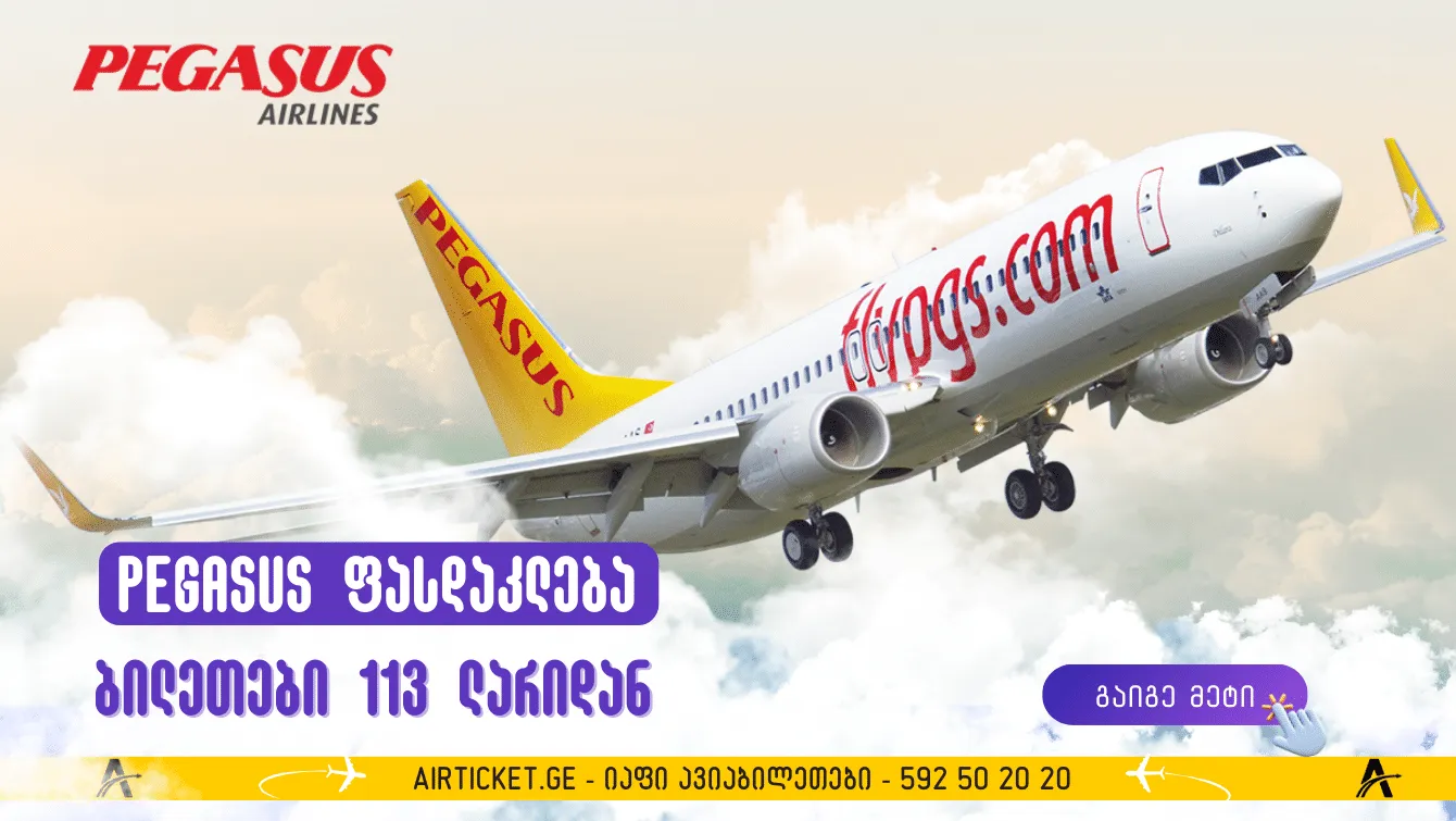 Pegasus: საერთაშორისო ფრენები 33₾+ მოსაკრებლები