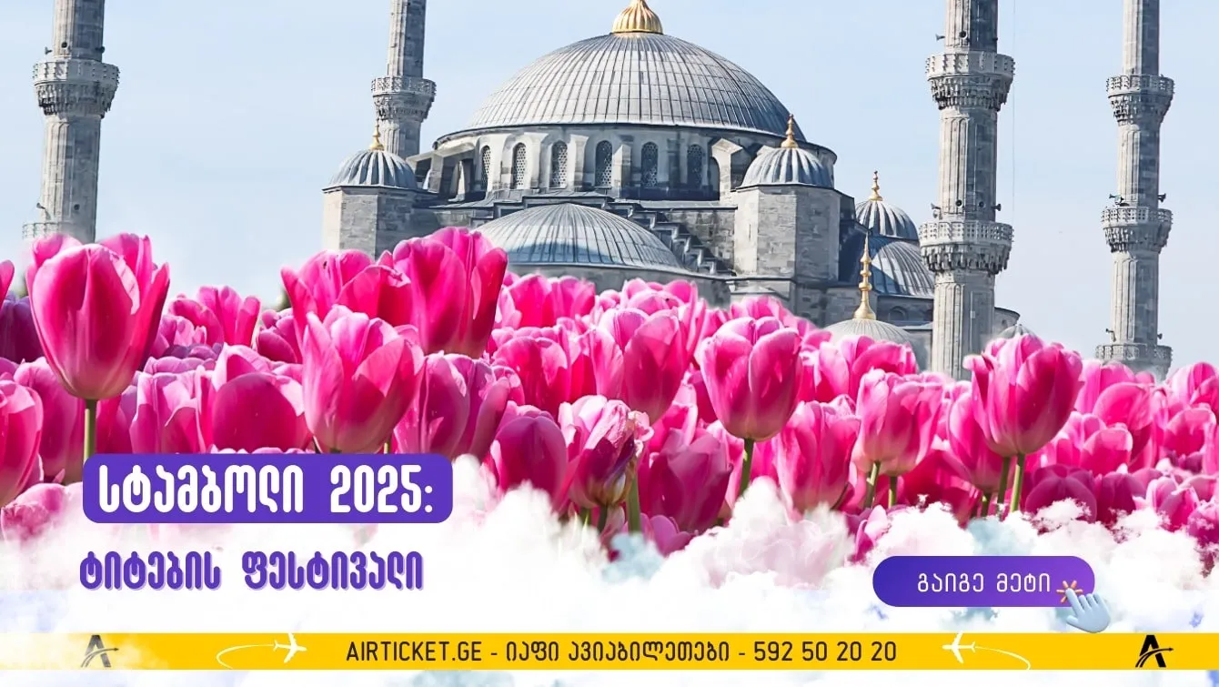 ტიტების ფესტივალი სტამბოლში 2025: როდის და სად ტარდება