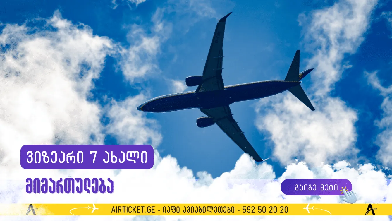 ვიზეარი ახალ მიმართულებებს ამატებს