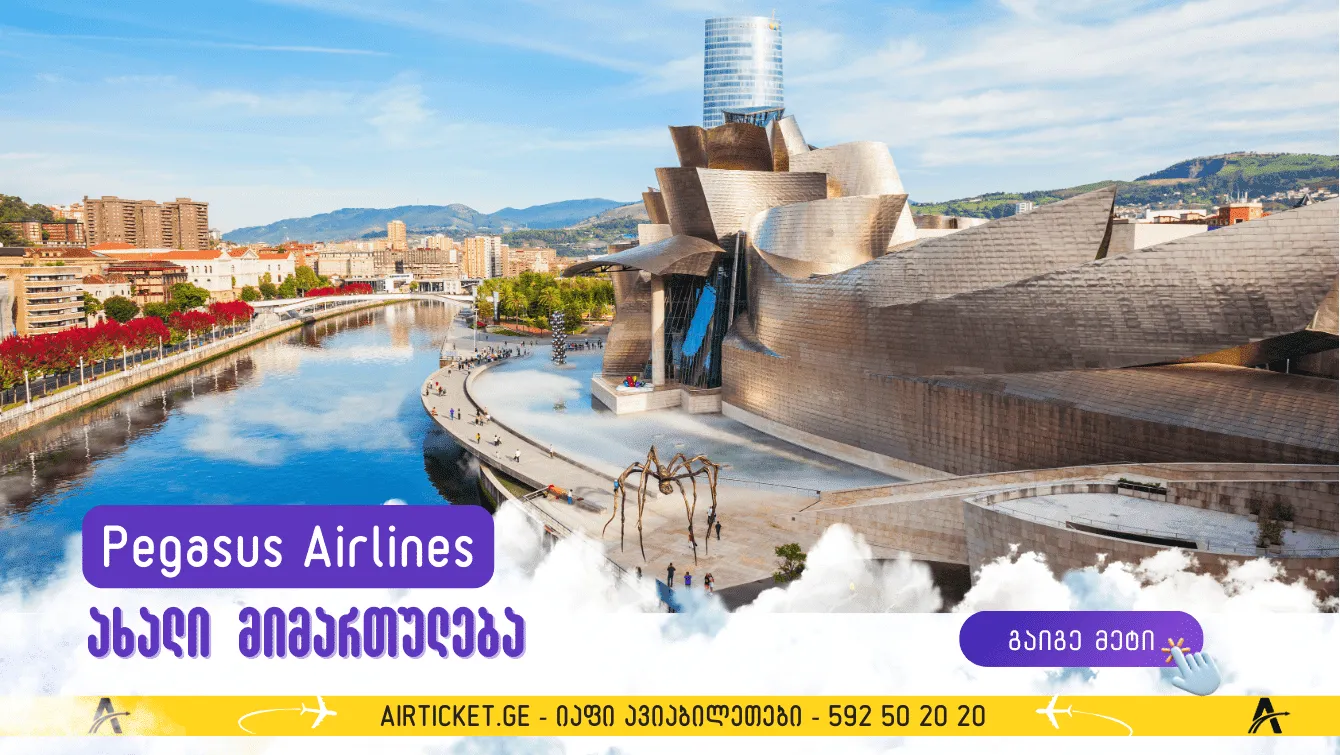 Pegasus Airlines-ი საქართველოდან ახალი მიმართულებით ფრენებს იწყებს