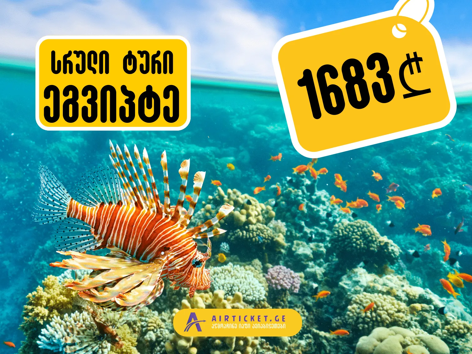 შავი პარასკევის შემოთავაზება -40% შარმ ელ შეიხის მიმართულებით 6 ღამით