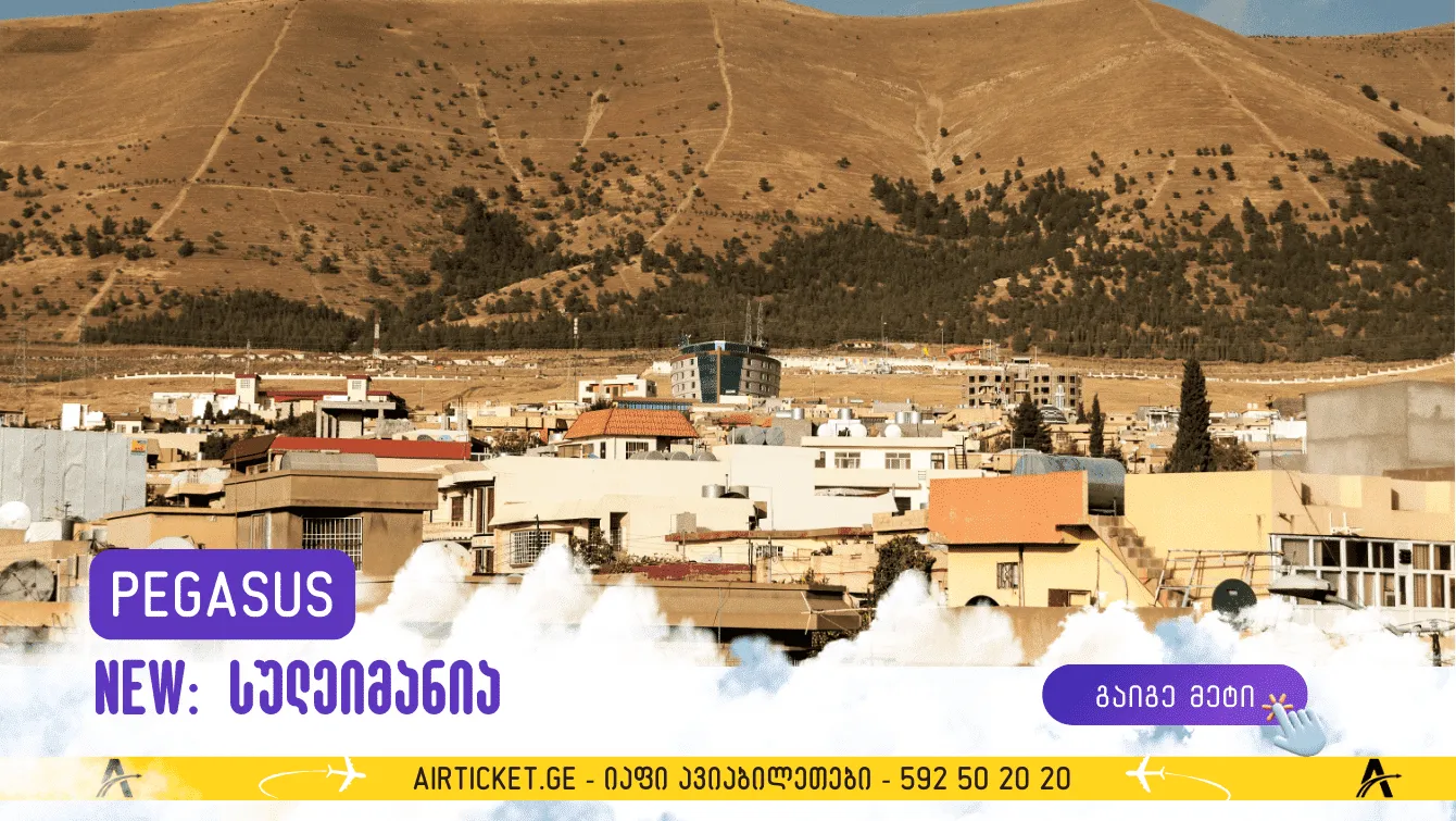 ავიაკომპანია პეგასუსი სულეიმანია-ში იწყებს ფრენებს