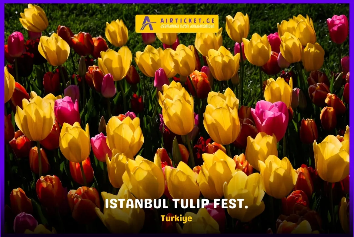 შაბათის ფასდაკლება: -45% სტამბოლის საგაზაფხულო ტურზე! 🌷 დარჩენილია მხოლოდ 8 ადგილი! 🚨