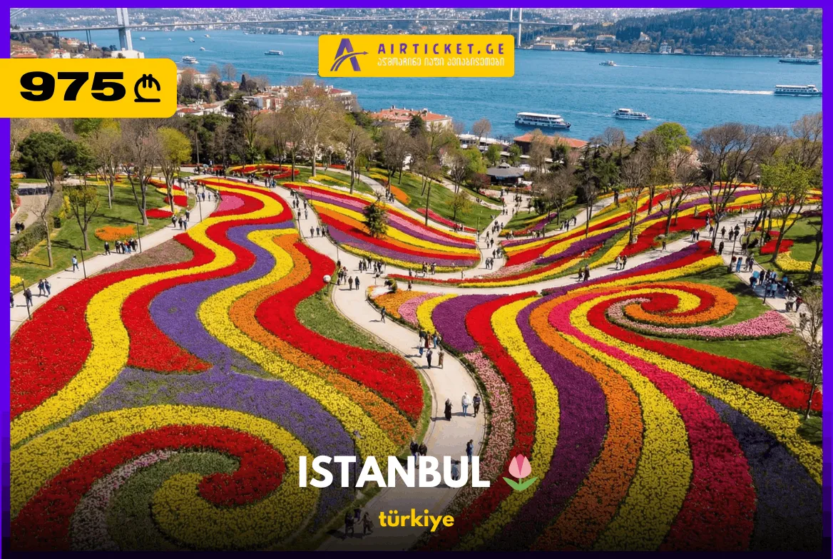 ტური: ტიტების ფესტივალი სტამბოლში 2026