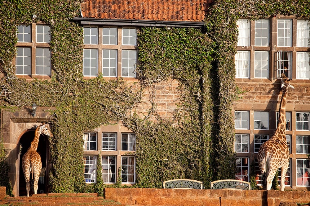 giraffe-manor-kenya